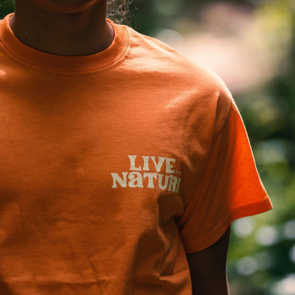 t-shirt Woodcamp LIVE NATURE brown 2017